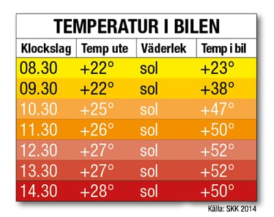 Temperaturtabell - Bil i sol | Svenska Kennelklubben